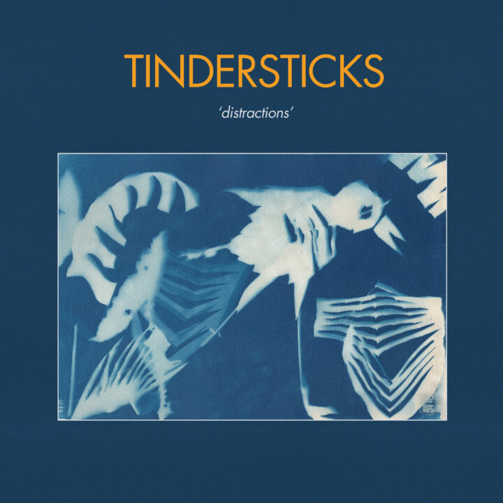 Tindersticks Album Cover